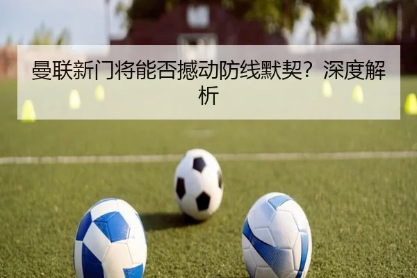 曼联新门将能否撼动防线默契？深度解析